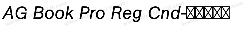 AG Book Pro Reg Cnd字体转换